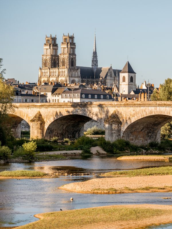 ville d'orléans avec sa cathédrale et un pont