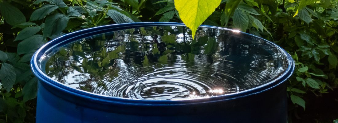 récupérateur d'eau de pluie
